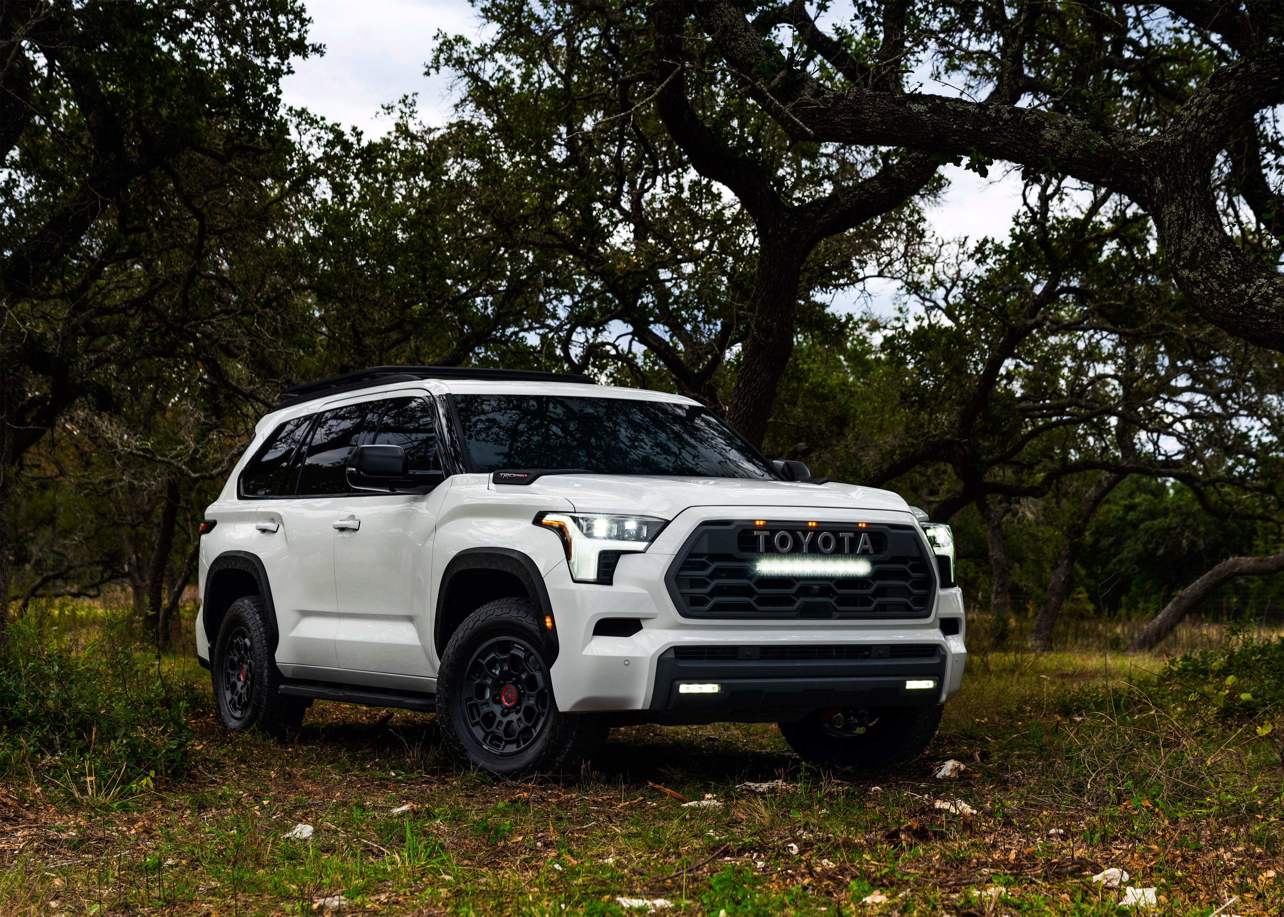, toyota